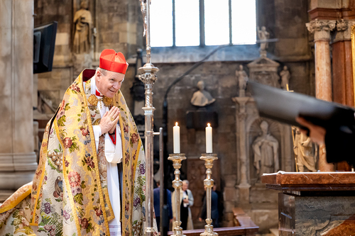 Te-Deum Papst Leo XIV / Erzdiözese Wien/Schönlaub, Stephan Schönlaub