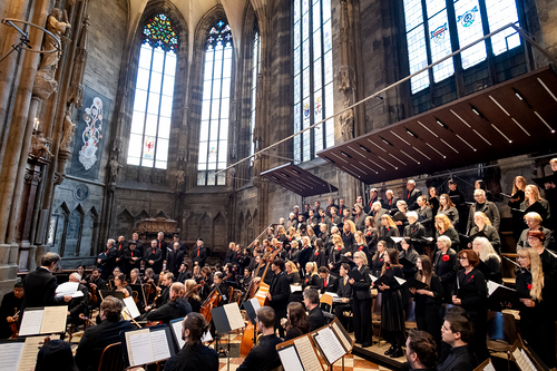Te-Deum Papst Leo XIV / Erzdiözese Wien/Schönlaub, Stephan Schönlaub