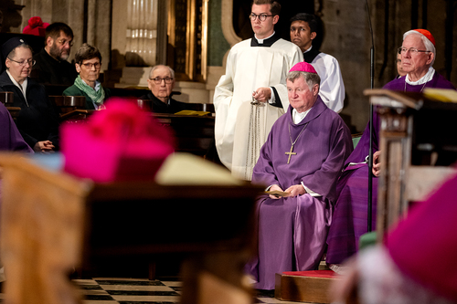 Stephansdom: Österreich nahm Abschied von Papst Franziskus