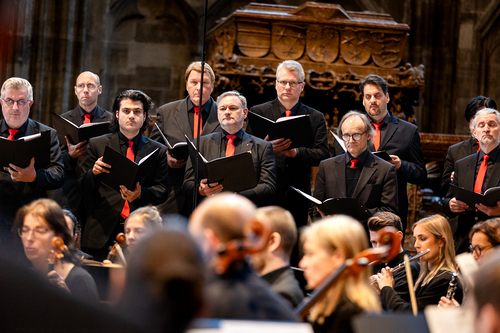 Te-Deum Papst Leo XIV / Erzdiözese Wien/Schönlaub, Stephan Schönlaub