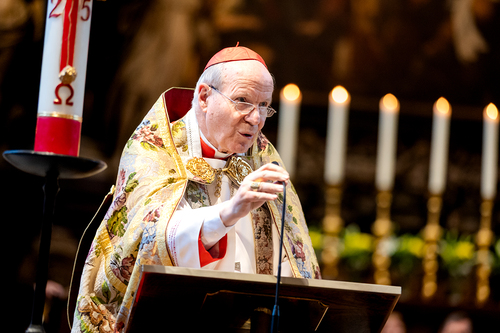 Te-Deum Papst Leo XIV / Erzdiözese Wien/Schönlaub, Stephan Schönlaub